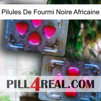 African Black Ant Pills 15